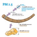 PM 2.5 particles size or dimensions compared to hair and sand outline diagram