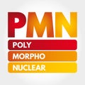 PMN - PolyMorphoNuclear acronym concept