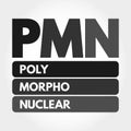 PMN - PolyMorphoNuclear acronym concept