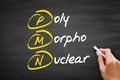 PMN - PolyMorphoNuclear acronym, concept on blackboard