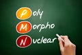 PMN - PolyMorphoNuclear acronym, concept on blackboard