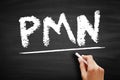 PMN - PolyMorphoNuclear acronym, concept on blackboard