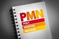 PMN - PolyMorphoNuclear acronym on notepad, concept background