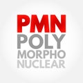 PMN PolyMorphoNuclear - having a nucleus with several lobes and a cytoplasm that contains granules, as in an eosinophil or