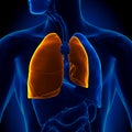 Pneumothorax - Collapsed Lung