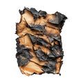 PNG Burned Piece of Paper on Transparent Background - Ai Generated Royalty Free Stock Photo