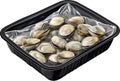 Pile of fresh clams with shells in packaging tray Royalty Free Stock Photo