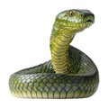 PNG Golden Tree Snake on Transparent Background Royalty Free Stock Photo