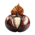 PNG Group Of Chestnuts on Transparent Background - Ai Generated Royalty Free Stock Photo