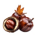 PNG Group Of Chestnuts on Transparent Background - Ai Generated Royalty Free Stock Photo