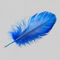 PNG A Lightweight Blue Feather Royalty Free Stock Photo