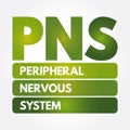 PNS - Peripheral Nervous System acronym, medical concept background