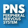 PNS - Peripheral Nervous System acronym, medical concept background