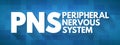 PNS - Peripheral Nervous System acronym, medical concept background