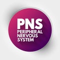 PNS - Peripheral Nervous System acronym, medical concept background