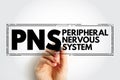 PNS Peripheral Nervous System - responsible for relaying information between your body and brain, acronym text concept stamp