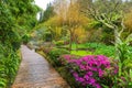 PoÃ§as da Dona Beija hot springs, in Sao Miguel, Azores Royalty Free Stock Photo