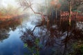 Po Delta Park, Ravenna, Emilia-Romagna, Italy: landscape at dawn of the swamp