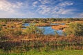 Po Delta Park, Veneto, Italy: landscape of the swamp with a pink