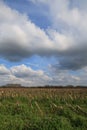 Po Valley fields sun corn sky clouds blue characteristic Royalty Free Stock Photo