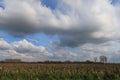 Po Valley fields sun corn sky clouds blue characteristic Royalty Free Stock Photo
