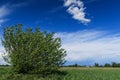 Po Valley Italy Europe landscape nature naturalistic