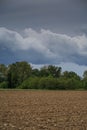 Po Valley landscape trees fields crops sky clouds