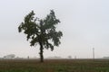 Po Valley landscape winter autumn fields crops