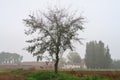 Po Valley landscape winter autumn fields crops