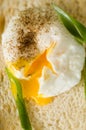 Poached Egg Royalty Free Stock Photo