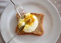 Poached Egg