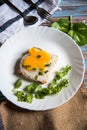 Poached egg on bread slice with condiments on a white plate Royalty Free Stock Photo