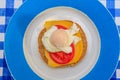 Poached egg on brown bread Royalty Free Stock Photo