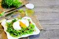 Poached egg, lettuce leaves with pomegranate seeds and olive oil. Healthy salad on a plate, fork, knife on old wooden background