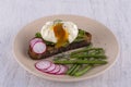 Poached egg on a piece of bread with fried green beans, radish and arugula on a plate Royalty Free Stock Photo