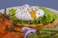 Poached egg on a piece of bread with fried green beans, tomato and arugula on a plate Royalty Free Stock Photo