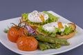 Poached egg on a piece of bread with fried green beans, tomato and arugula on a plate Royalty Free Stock Photo