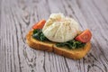Poached egg on a piece of toasted bread with slices of tomatoes. Royalty Free Stock Photo