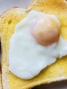 Poached egg