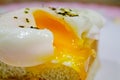 Poached egg Royalty Free Stock Photo
