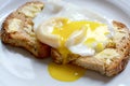Poached egg on toast Royalty Free Stock Photo