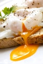 Poached Eggs on Toast