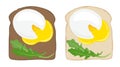 Poached eggs on toast bread. Set of two delicious poached egg sandwiches on white and dark bread. Vector illustration. Royalty Free Stock Photo