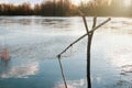 A poacher catching fish with a net, during the period of prohibition and spawning, violating the law of nature conservation Royalty Free Stock Photo