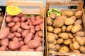 Crates of redf and white potatoes, Olhao. Royalty Free Stock Photo