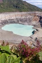 Poas Volcano in Costa Rica with Foreground Vegetation Royalty Free Stock Photo