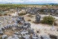 Pobiti Kamani rock formations protected area in Bulgaria Royalty Free Stock Photo