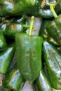 Poblano chili peppers chile Royalty Free Stock Photo