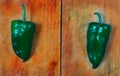 Poblano chili peppers chile