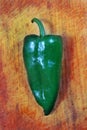 Poblano chili peppers chile Capsicum